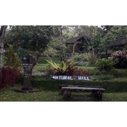 Natural Hill Cisarua Lembang Bandung Barat